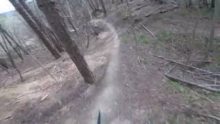 Papi Trail, Quarto