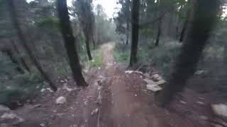 Trallone, Calvana