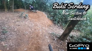 New Trail Section Ready to Rip: Speed, Rollers...