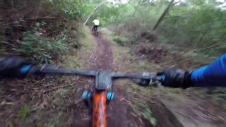 Sintra LUCKY BTT MTB