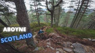 Aboyne mtb trails are amazing: Chix,...