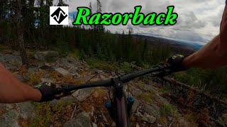 Best mountain biking in Burns Lake, BC - Razorback