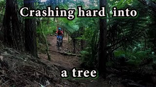 Crashing hard into a tree on Te Ahi Manawa,...