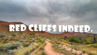Virée aux Red Cliffs | Utah MTB Camp 2024...