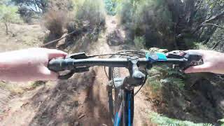 Little Devils Terrain Park @ Penguin MTB Park