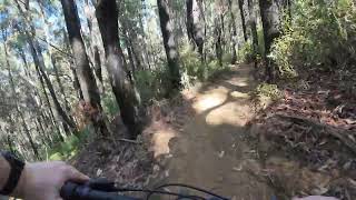 Prehistoric Park @ Penguin MTB Park - Green Trail