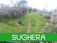 MTB Roveta 29.03.2025 sentiero SUGHERA