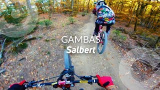 GAMBAS, Salbert, France