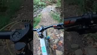 Bumbling Down Windrock Bike Park Until I Slide...