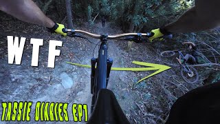 Soho is unreal! TASSIE Diaries Day 1 | Tasmania