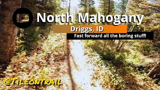 North Mahogany - Driggs, ID - MTB Trail Preview