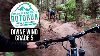 Blowing up Corners on Divine Wind Trail, Rotorua