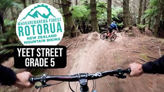 Stout Entrance into Tumeke | Yeet Street...