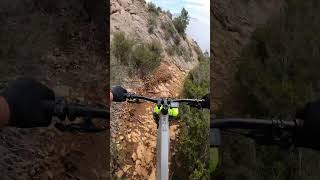 FreeWheel #bike #mtb #amtb #france...