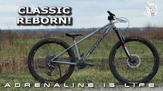 This Steel Hardtail Mountain Bike Changes...