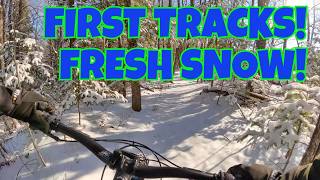 FRESH Powder! Fat Biking after the Storm