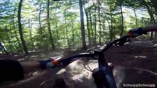 Let's Ride MTB - Heidelberg // Dusty Trails am...