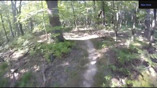 Beulah Park Nature Area MTB Orange Inner Trail