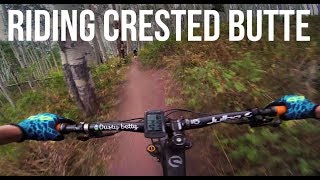 Riding Lupine Trail - Dusty Betty Women's...