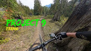 Project 9 - Fernie