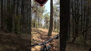 La Cumbre Ixtepeji Trail, Oaxaca Mexico