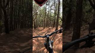 El Toro, Oaxaca Mexico MTB Trail