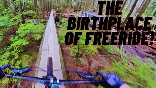 TOP OF MOUNT SEYMOUR TO THE BOTTOM! - MY...