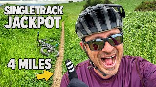 This Trail Blew My Mind - Fast, Flowing...
