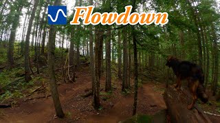 Best MTB flow trail in Revelstoke, BC - Flowdown