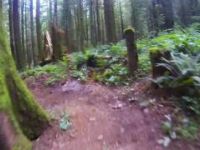 Canyon Loop Trail Community Forest, Chilliwack...