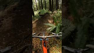 Ripping in soft turns #mtb