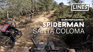 Spiderman - Santa Coloma de Farners  | LINES