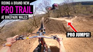 RIDING A NEW PRO TRAIL AT BIKEPARK WALES!