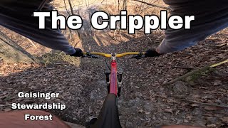 “The Crippler” at Geisinger Stewardship Forest