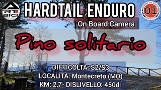 PINO SOLITARIO Montecreto (MO) discesa MTB...