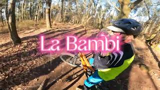 La Bambi en Invierno