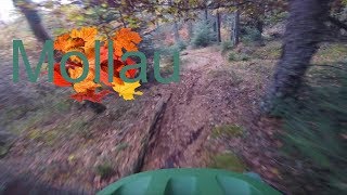 FLOKK #13 | Mollau (Vogesen) Tag 1