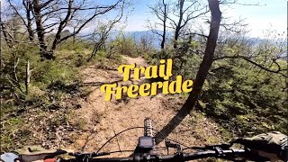 Sasso Marconi (BO) - Trail Freeride