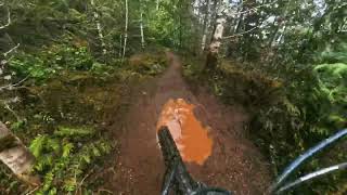 That Damm trail