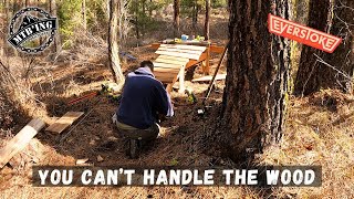 Expanding the MTB Playground