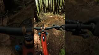 LCR Section 1 #mtb