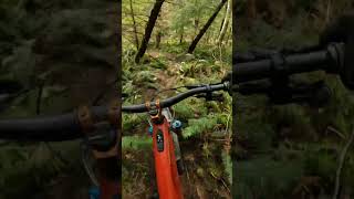 LCR Section 2 #mtb