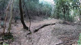 SCAGLIATA TRAIL IN ZONA ARANCIONE..ai tempi...