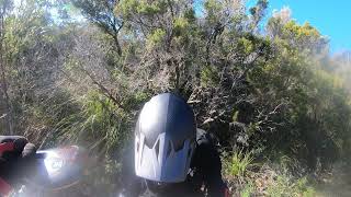 TERMINE 24 mtb trail - Castiglione Trail Park...