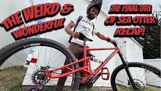 Sea Otter 2025 // The Final Day