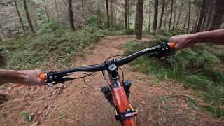 Rollie @ Pan Pac MTB Park. Eskdale