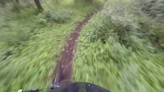 GS Downhill