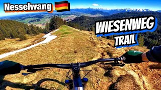Technical Trail With Amazing Views - Wiesenweg...