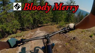 Expert mountain bike trail in Castlegar, BC -...