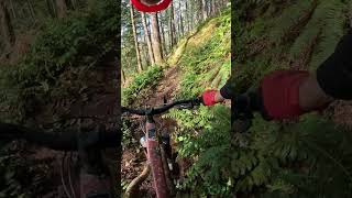 Labour Of Love MTB Trail